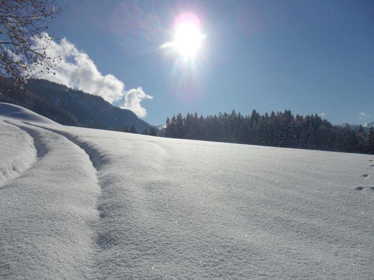 Hausbergerhof Gaestehaus Ainberger ブリックレック エクステリア 写真